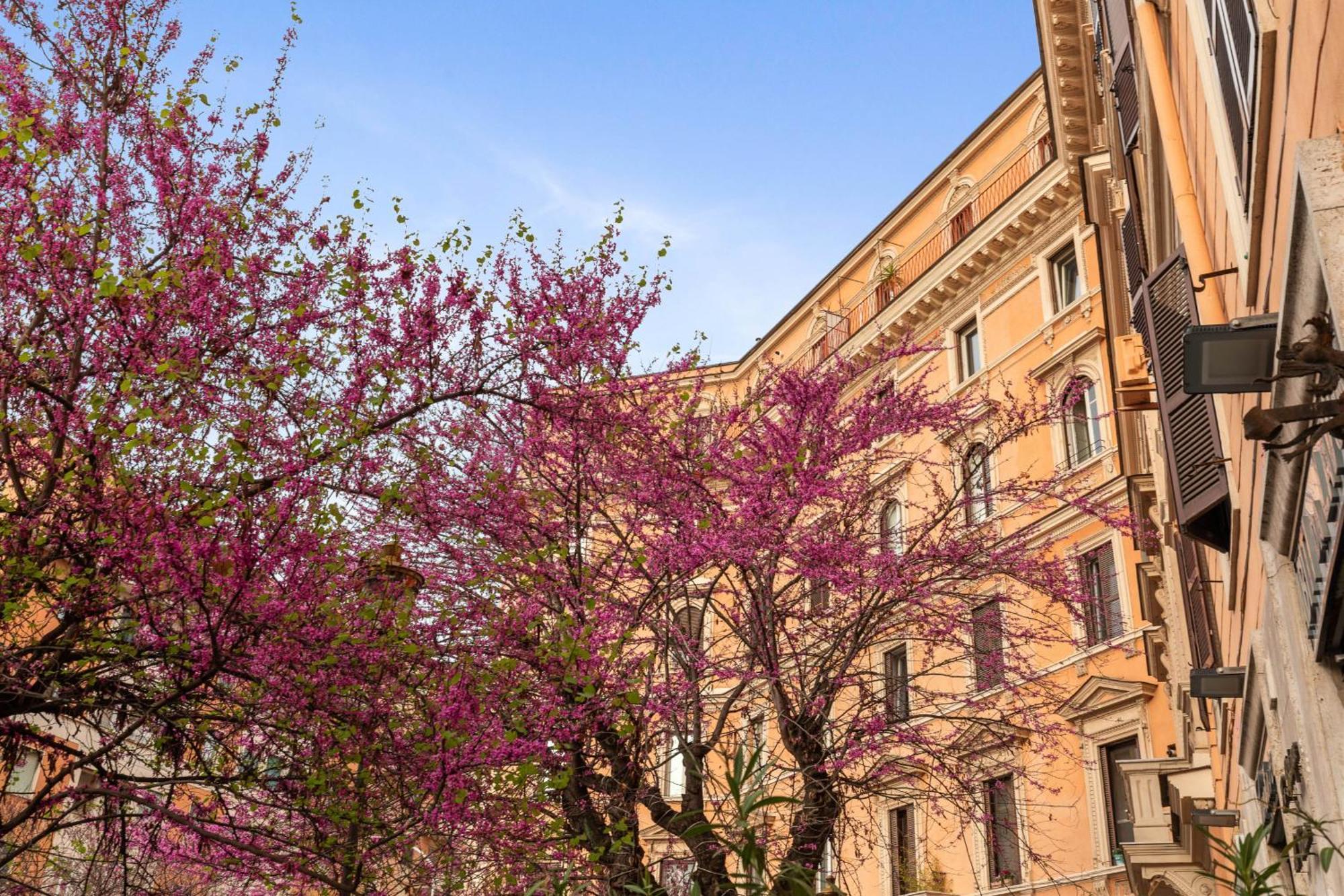 Apartment Termini Station Lightsome 3br Rome